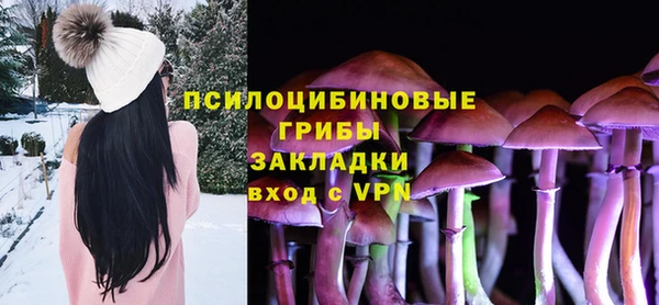 соль ск Алексеевка