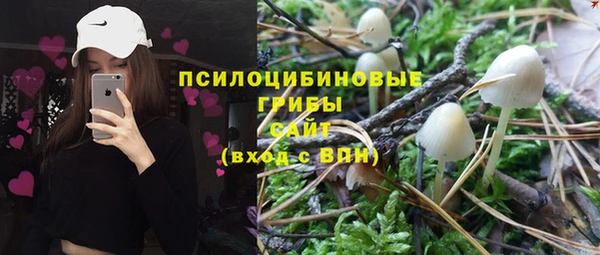 соль ск Алексеевка
